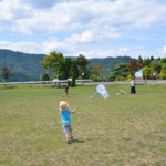 広場で虫とり