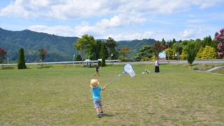 広場で虫とり