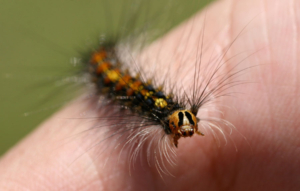 Thumbnail of post image 109