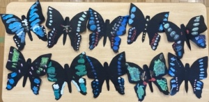 Thumbnail of post image 156