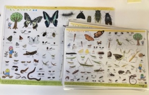 Thumbnail of post image 169