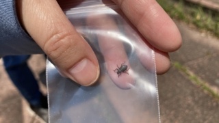 Thumbnail of post image 047