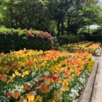 Thumbnail of post image 143
