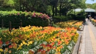 Thumbnail of post image 021