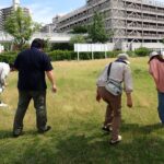 Thumbnail of new posts 031