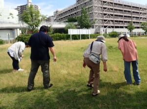 Thumbnail of post image 016