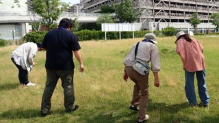 Thumbnail of post image 128