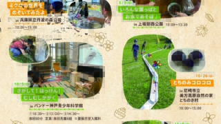 Thumbnail of post image 165