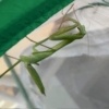 Thumbnail of new posts 141