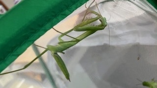 Thumbnail of post image 127