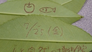 Thumbnail of post image 093