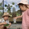 Thumbnail of new posts 178