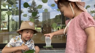 Thumbnail of post image 007