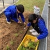 Thumbnail of new posts 116