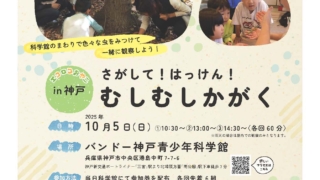 Thumbnail of post image 093