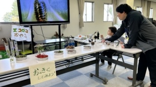 Thumbnail of post image 128