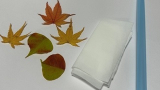 Thumbnail of post image 182