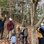 Thumbnail of post image 162