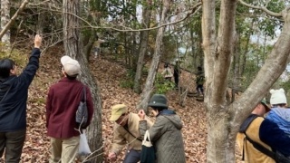 Thumbnail of post image 015