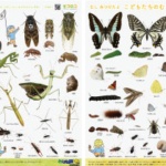 Thumbnail of post image 064