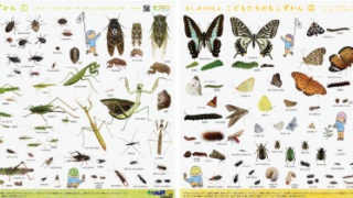 Thumbnail of post image 188