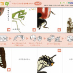 Thumbnail of post image 079