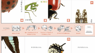 Thumbnail of post image 126