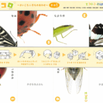 Thumbnail of post image 126